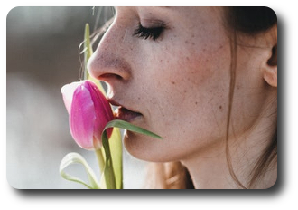 sentir